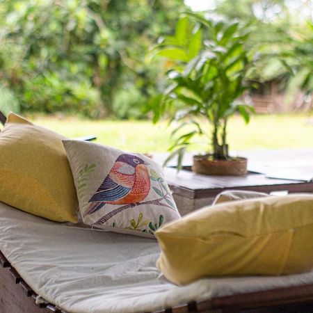 Popone Farm & Lodge Guápiles Zewnętrze zdjęcie