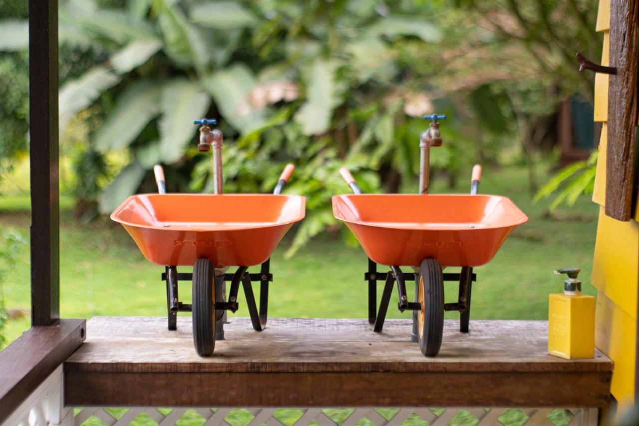 Popone Farm & Lodge Guápiles Zewnętrze zdjęcie